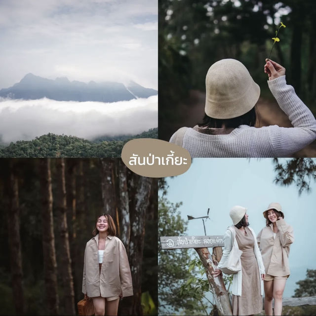 🌿 6 พิกัดที่เที่ยวสายธรรมชาติ อ.แม่แตง