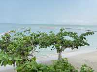 Garden Cliff Resort & Spa Pattaya การ์เด้น คลิฟ รี