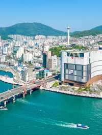 부산 영도에 탁트인 바다 뷰를 볼 수 있는 곳🩵