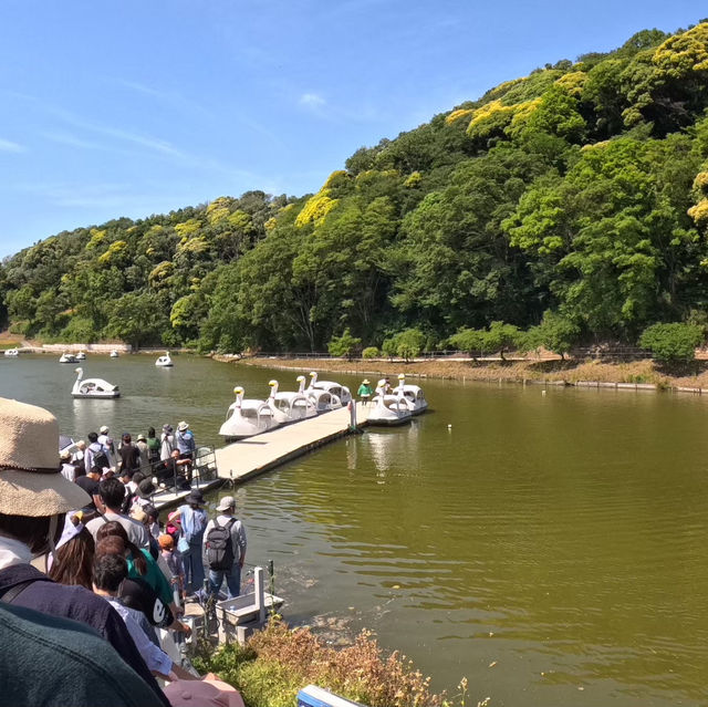 東京ドイツ村　🇯🇵