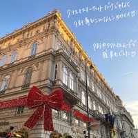 🇦🇹オーストリア・ウィーンのクリスマス🎅