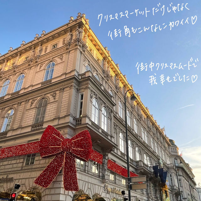 🇦🇹オーストリア・ウィーンのクリスマス🎅