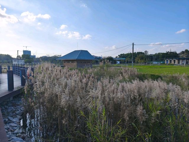 香港罕有的自然生態公園