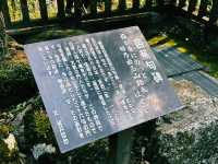 天岩戸神社西本宮で神秘体験⛩✨