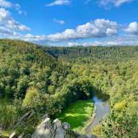 De Biesbosch National Park