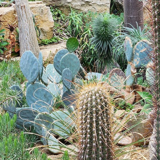 Royal Botanic Gardens, Kew (London)