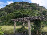 Ogimi Village Riverside Park