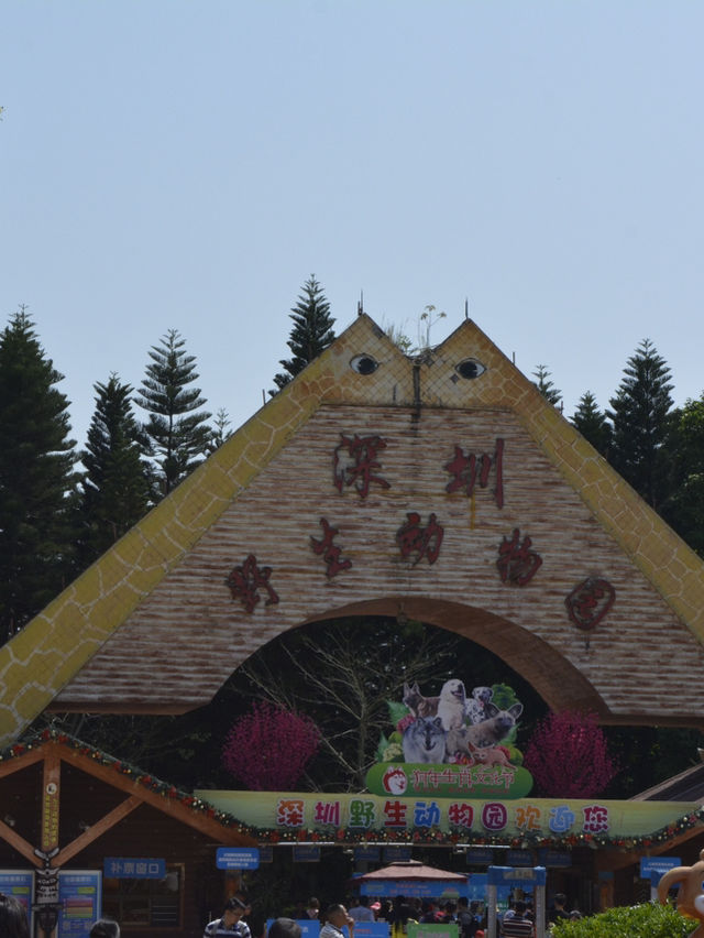 探秘深圳野生動物園：與自然共舞的奇妙旅程🐾