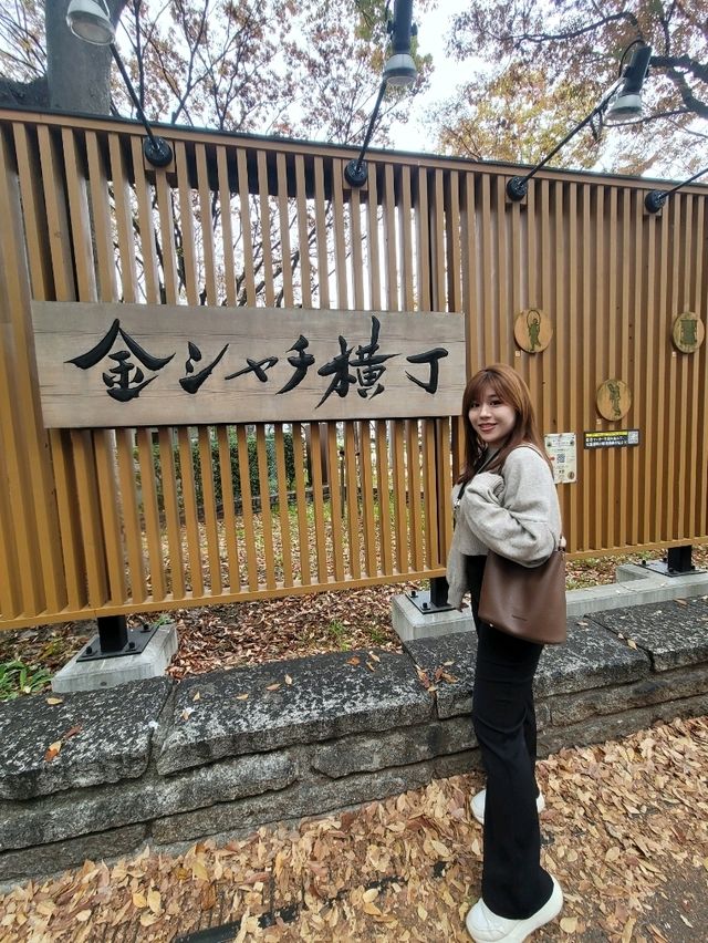 如果你喜歡獨享寧靜⌛️，獨享拍照時光，清洲城🏯是你的選擇👍👍
