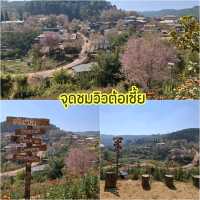 พิกัดเที่ยวบ้านร่องกล้า พิษณุโลก