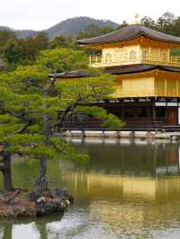 【京都×春旅】  外国人の方にも大人気！京都に来たら・・の観光名所
