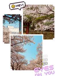 A Photographer’s Paradise in Spring!