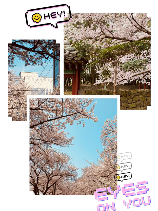 A Photographer’s Paradise in Spring!
