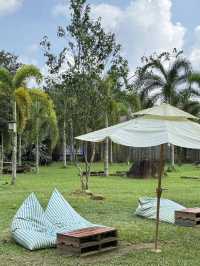 คาเฟ่สายธรรมชาติ Alisha Cafe 