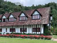 Lakehouse: Ultimate Spring Escape Haven