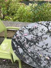 Overnight Inn in Wushan