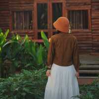 จุดเช็คอินกลางป่าสน | สวนป่าดอยบ่อหลวง