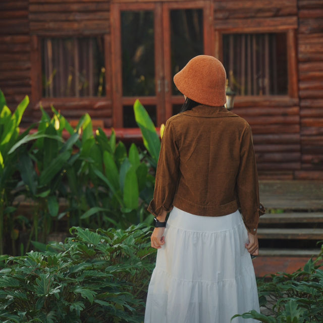 จุดเช็คอินกลางป่าสน | สวนป่าดอยบ่อหลวง