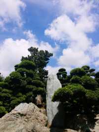 南蓮園池，鬧市中的靜土🌳