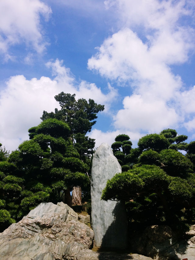 南蓮園池，鬧市中的靜土🌳
