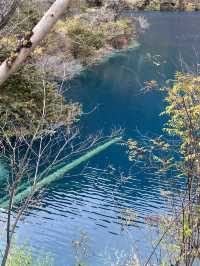 Enchanting Beauty of Jiuzhai Valley:where nature meets tranquility 