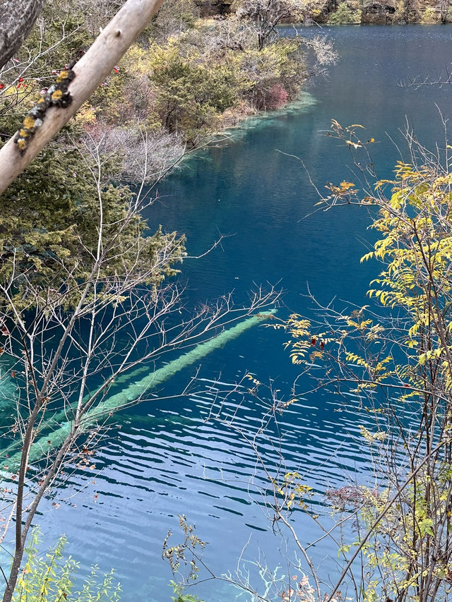 Enchanting Beauty of Jiuzhai Valley:where nature meets tranquility 
