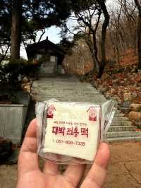 釜山｜金井山梵魚寺傳說 感受佛寺莊嚴與寧靜