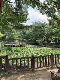 首爾大公園一日漫遊｜自然與童趣的完美交會 🌿🎠