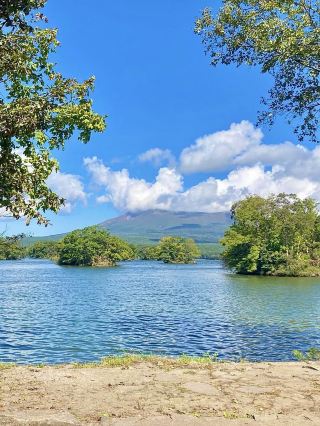 Spring at Onuma Park: The Perfect Cycling Spot