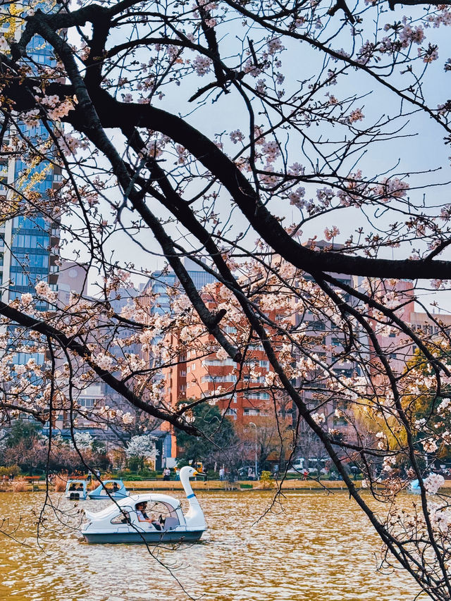 Tokyo Spring vibes unlocked 🌸