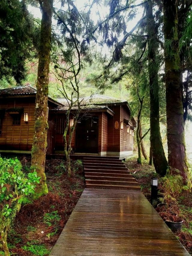 宜蘭太平山絕美✨️