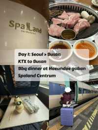 🇰🇷 SEOUL & BUSAN‼️7D6N chill itinerary 🍃