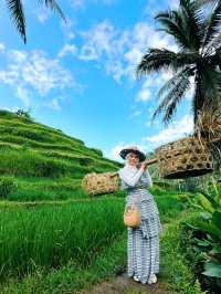 Truth about Tegallagang Rice Terrace 🌾🤫