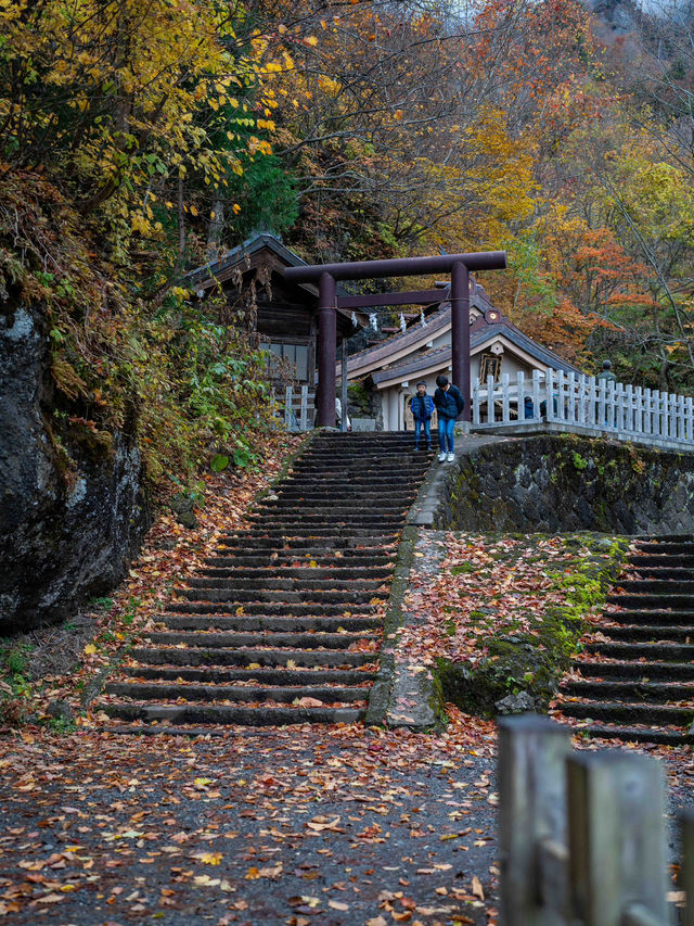 戸隠神社⛩️ 神秘的な杉並木が続くパワースポット
