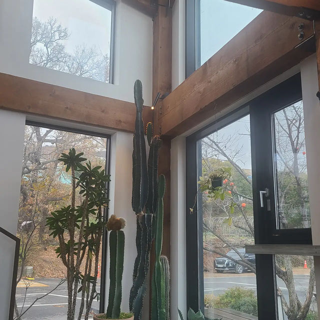 Cheoncheonhee Cafe