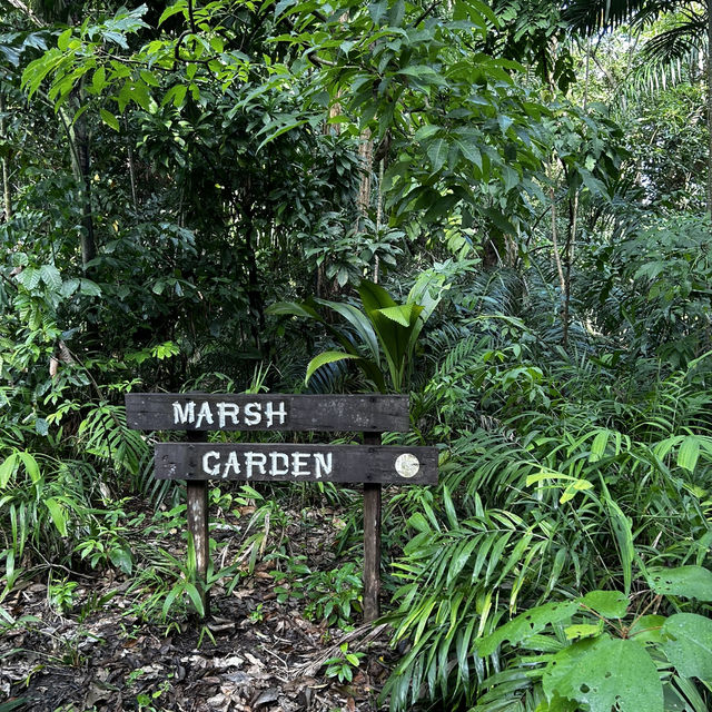 West Coast Park Singapore: Camp, Jog, Fish & Play – Your Ultimate Family Weekend Playground! 🏕️⚾