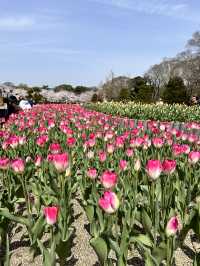 【京都】綺麗なお花に癒される子どもも嬉しいピクニックスポット