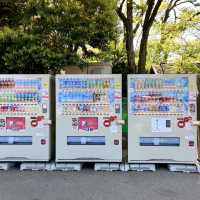 Spring Picnic Bliss at Osaka Castle Park