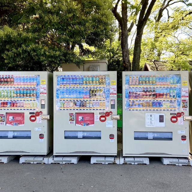 Spring Picnic Bliss at Osaka Castle Park