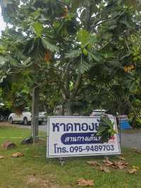 ลานกางเต๊นท์ เล่นน้ำ นครนายก