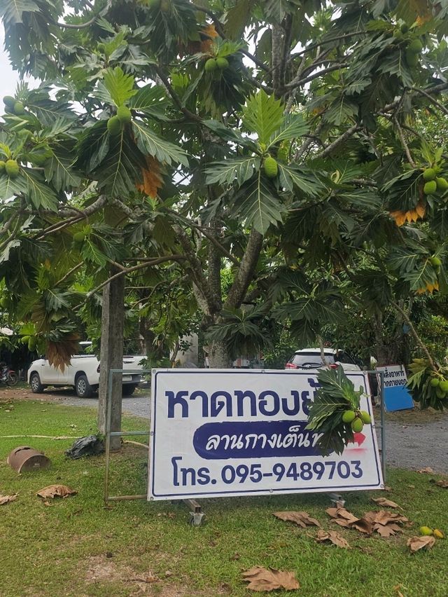 ลานกางเต๊นท์ เล่นน้ำ นครนายก