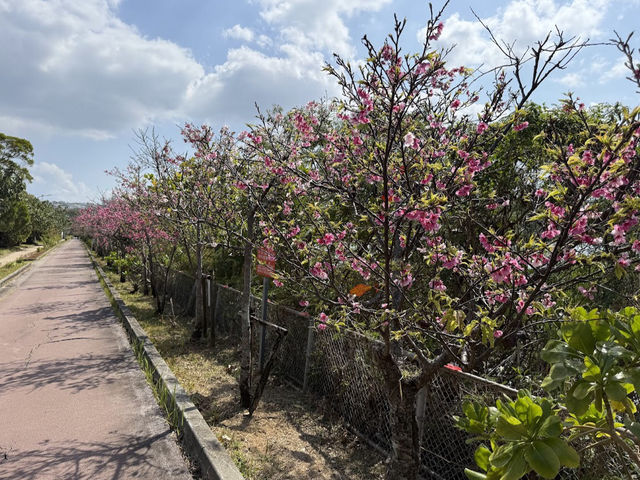 漫湖公園（那霸市）