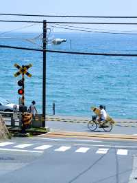 海と歴史を満喫！夏の湘南・鎌倉旅スナップ