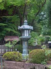 招き猫だらけの豪徳寺で、福を呼び込む体験を🐾