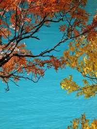 The Tranquility and Beauty of Jiuzhaigou in Autumn