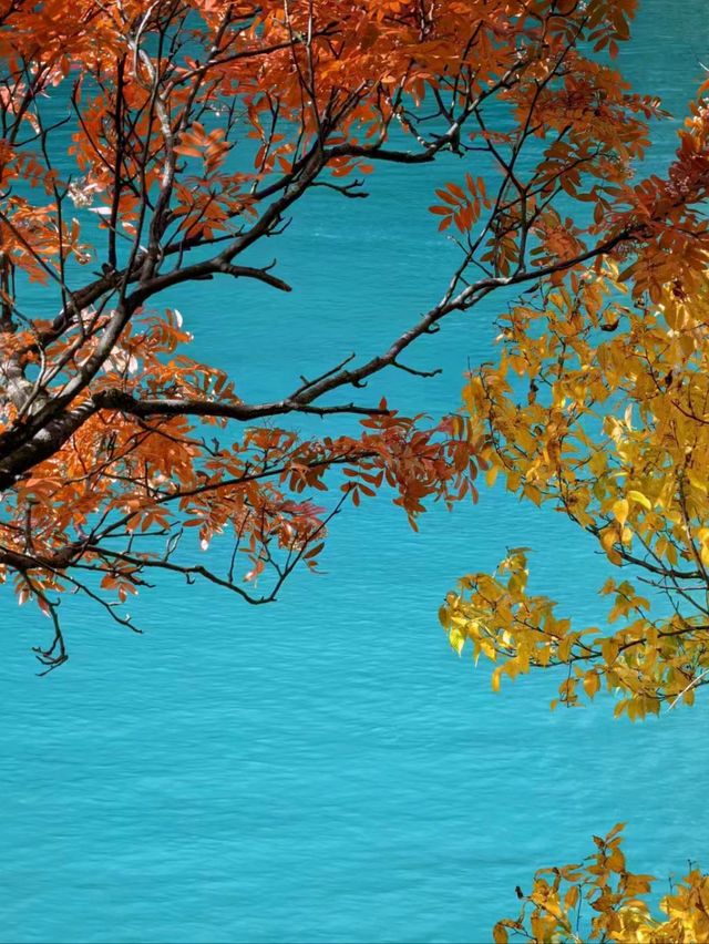 The Tranquility and Beauty of Jiuzhaigou in Autumn