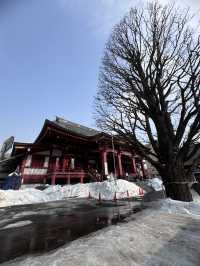 3 Days in Sapporo ทริปกินตัวแตก
