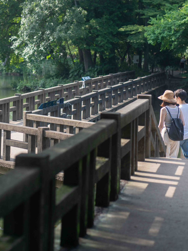 井の頭公園で心癒されるスナップ撮影🌳