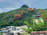 登山街60巷的記憶