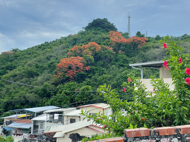 登山街60巷的記憶